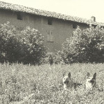Paleolitico
