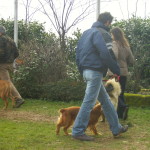 Gli amici di Casa Ardigò 032