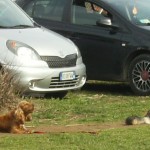 Gli amici di Casa Ardigò 079