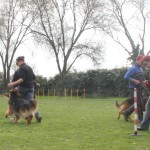 IMG_3368