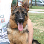 Evelin (6 mesi)
