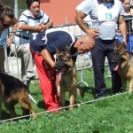 foggia 11.09 022